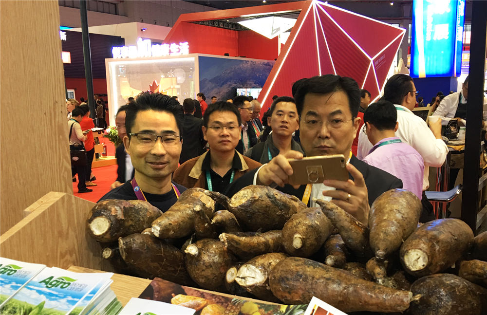 多米尼加-國家館設(shè)計搭建