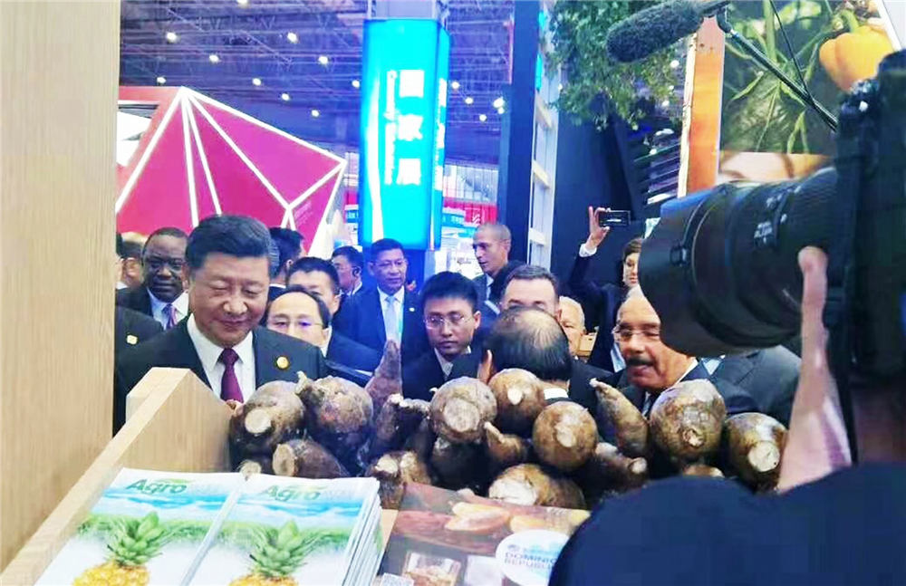 多米尼加-國家館設(shè)計搭建